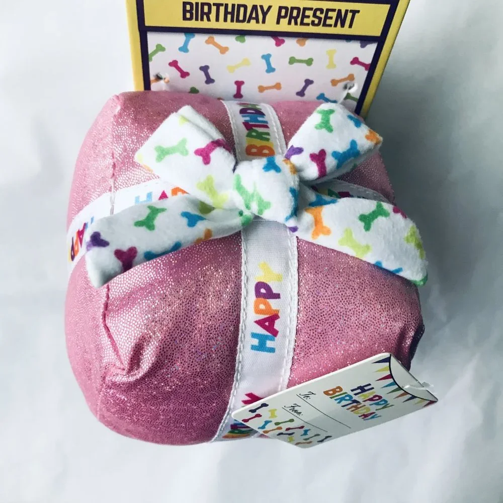 Multipet Birthday Present Dog Toy Plush Squeaker Crinkle 4